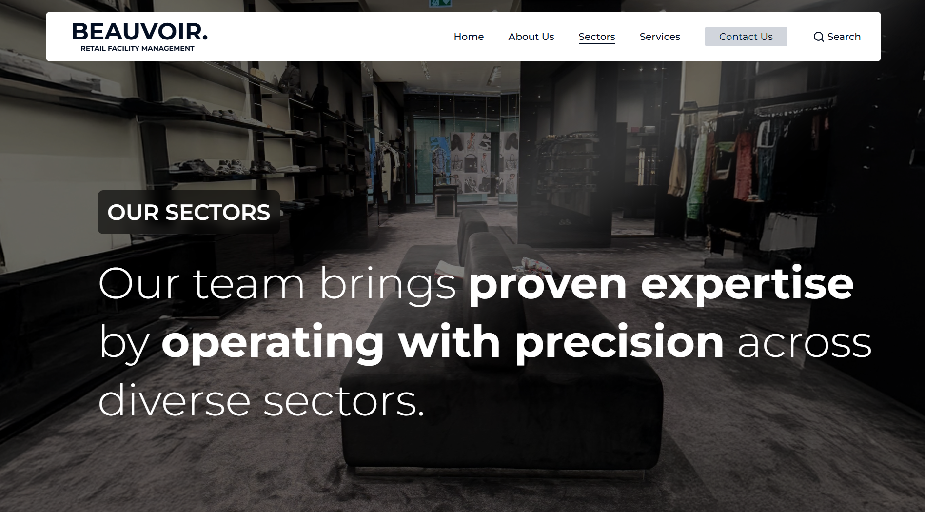 project screenshot 3: Showcasing the user interface and design