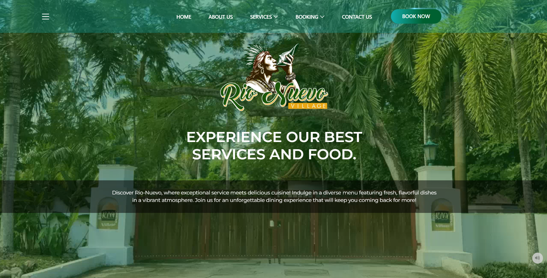WordPress Website & Video Production for Rio